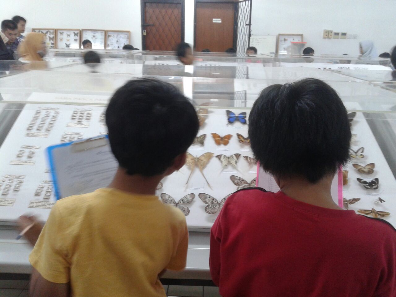 sd3_trip_serangga_ipb06