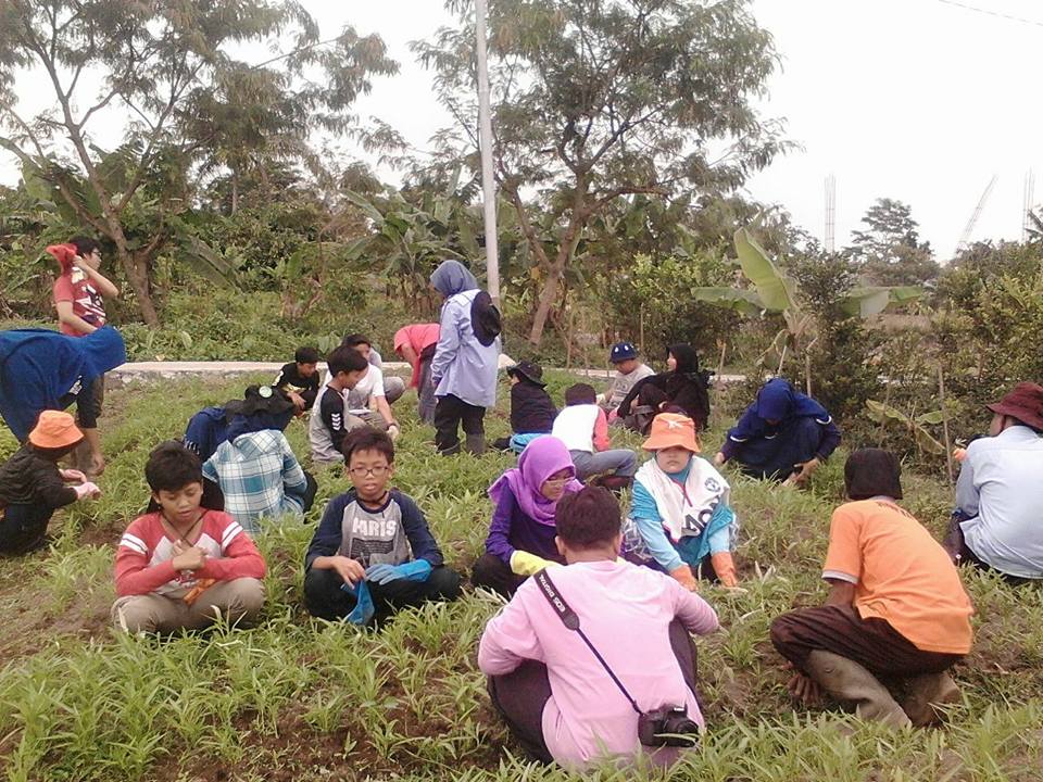 biotek07